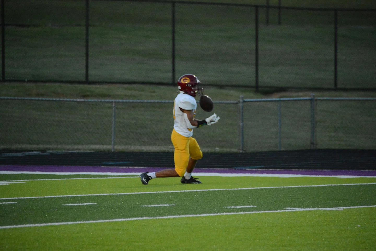 DSC_8398 (2023-09-09T03_40_44.641).JPG