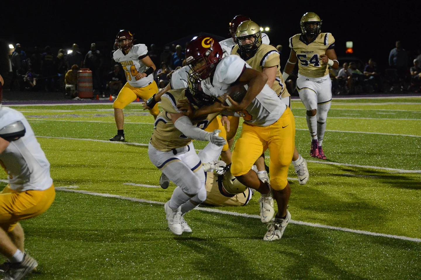 DSC_8490 (2023-09-09T03_55_27.825).JPG