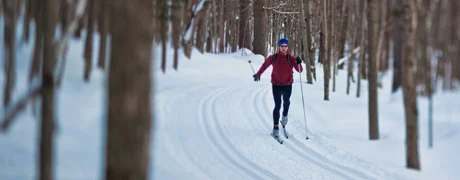 Learn-Snowsports-Skis-Nordic-Skis_v2_m56577569831497577.jpg