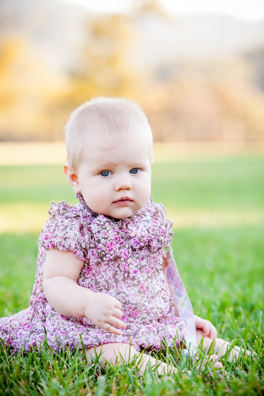 jennifer callahan photography-64.jpg