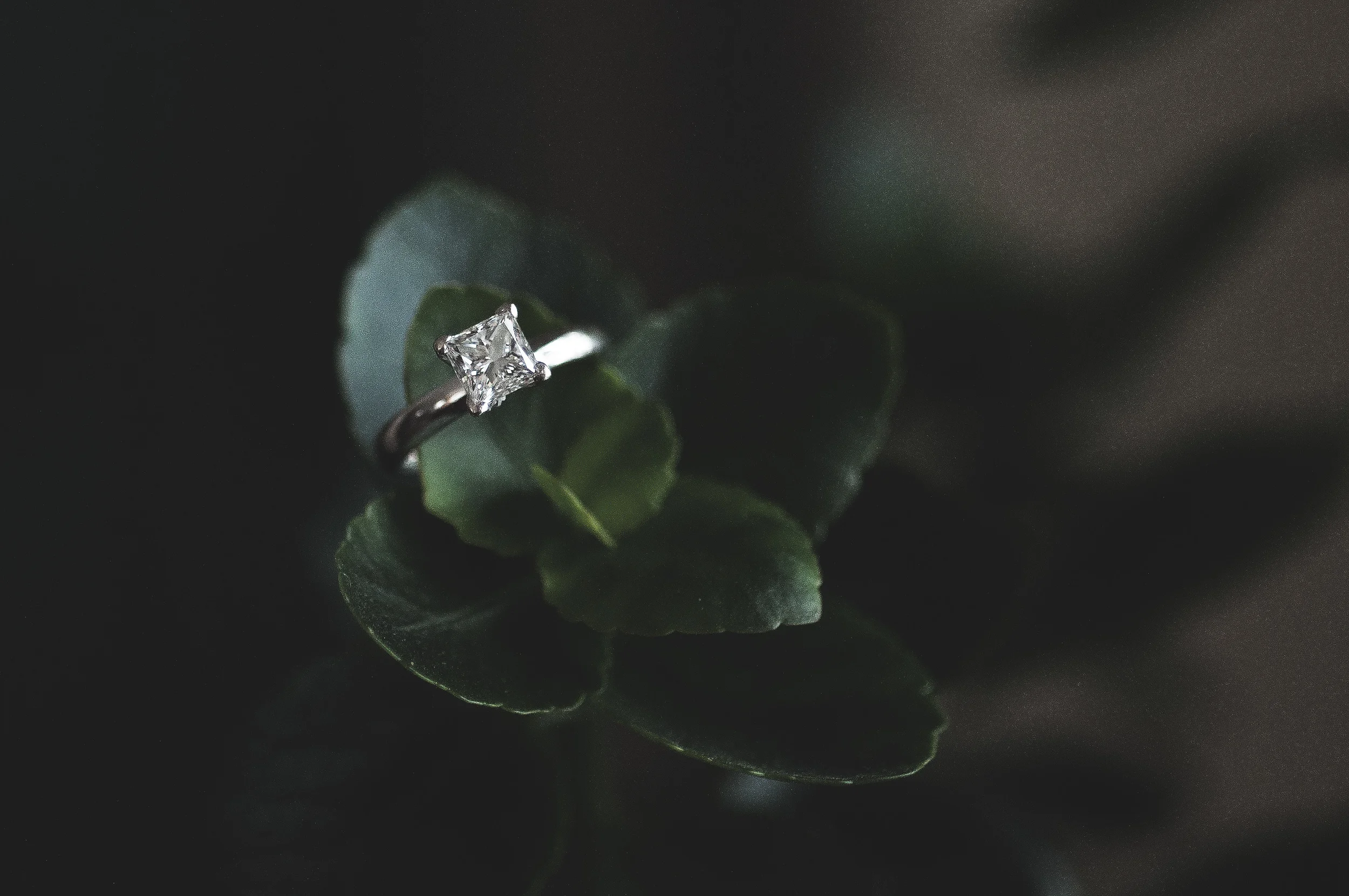 How To Shop For An Engagement Ring A Sweet Start