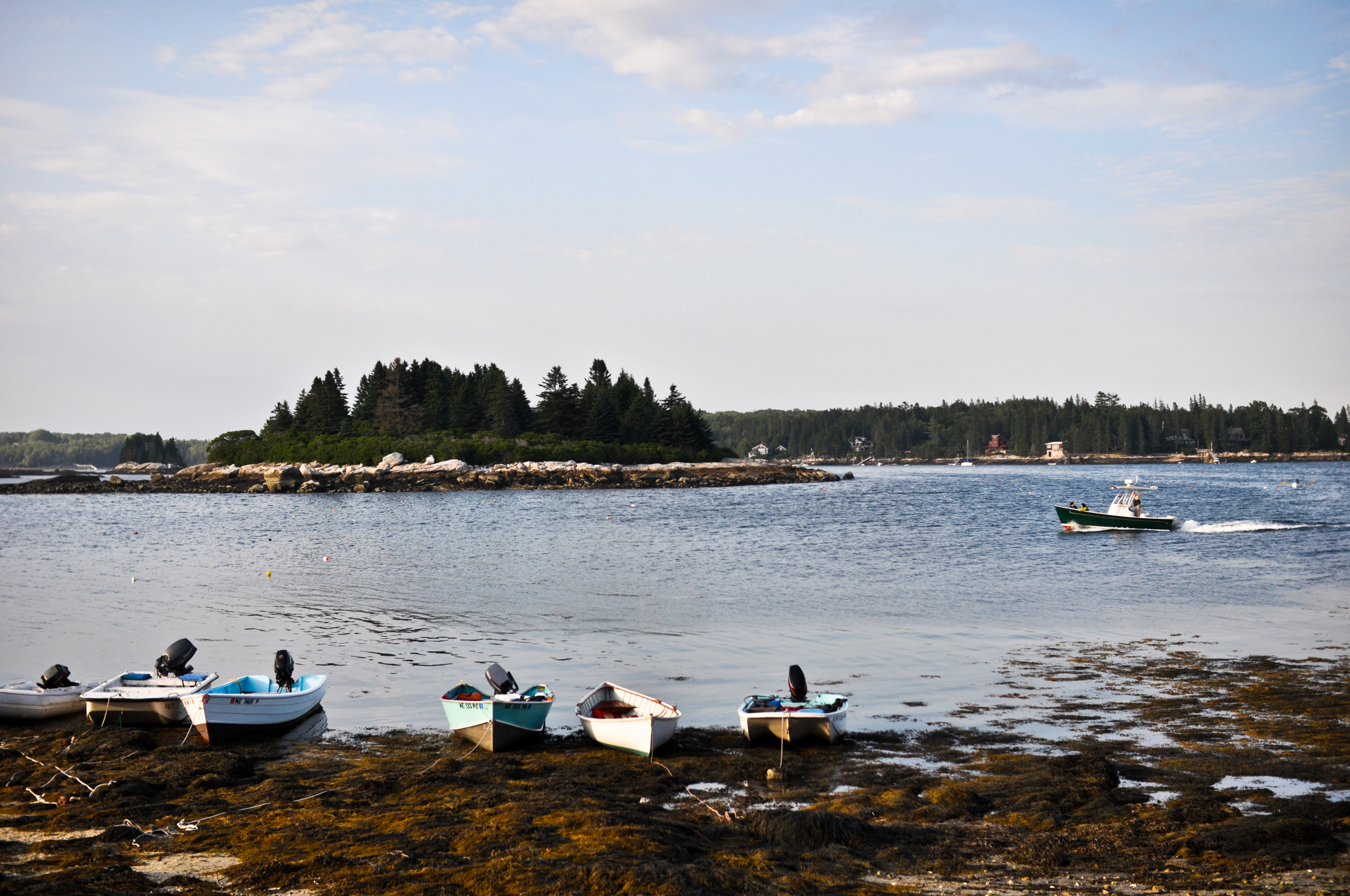 Maine honeymoon ideas | Photo by A Sweet Start