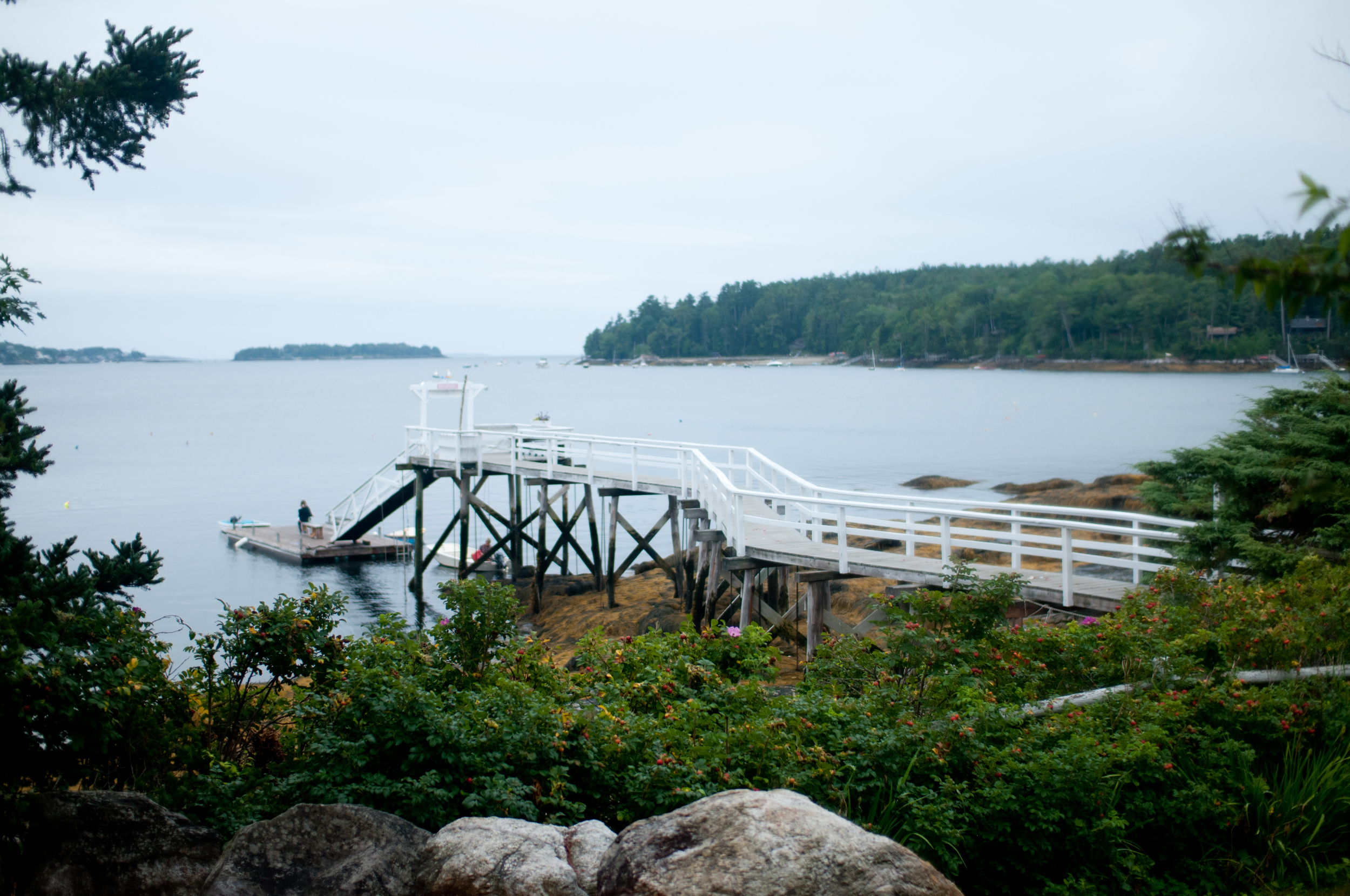 Real Maine vow renewal-1.jpg