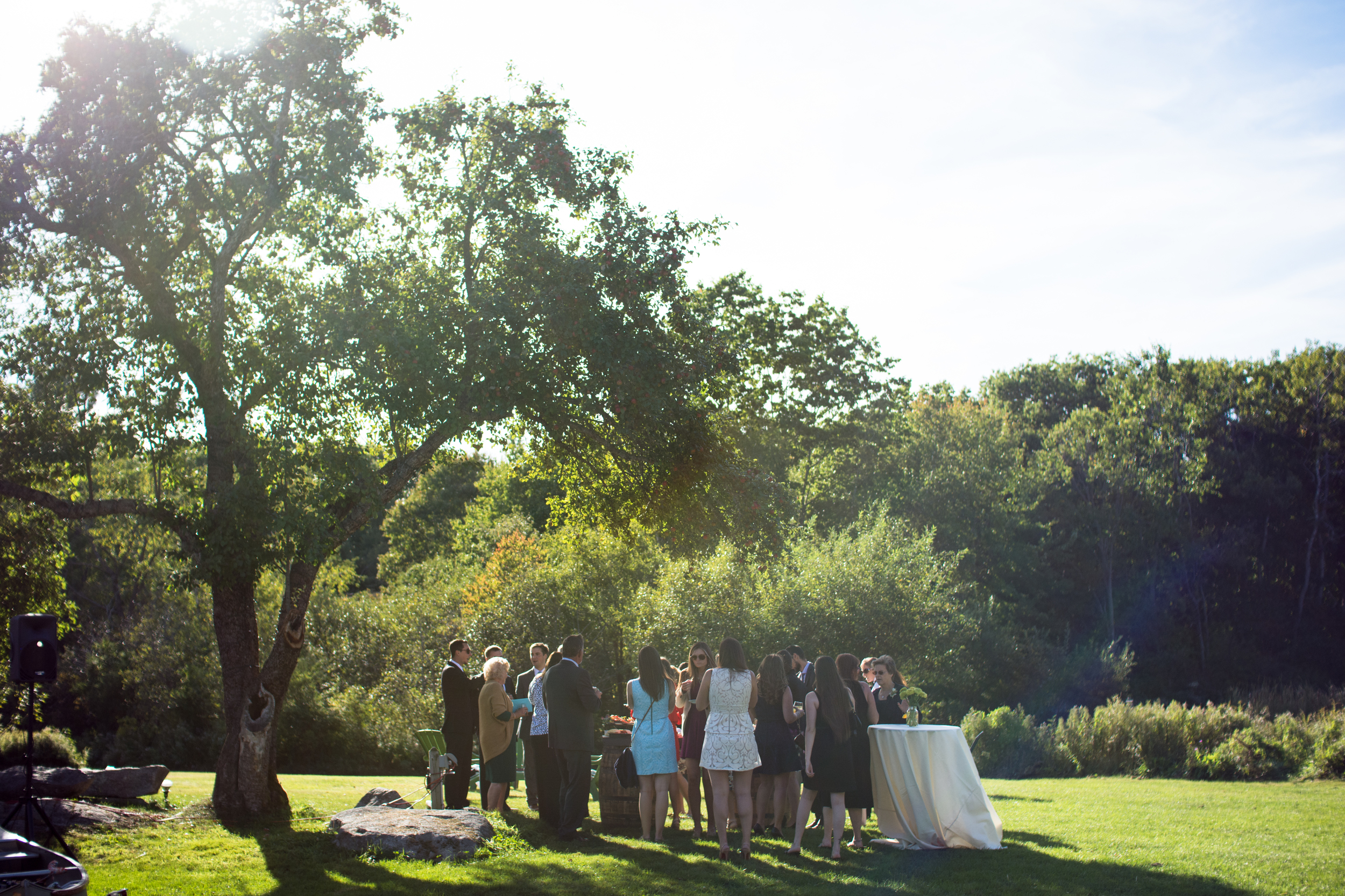 Erika + David-4.jpg