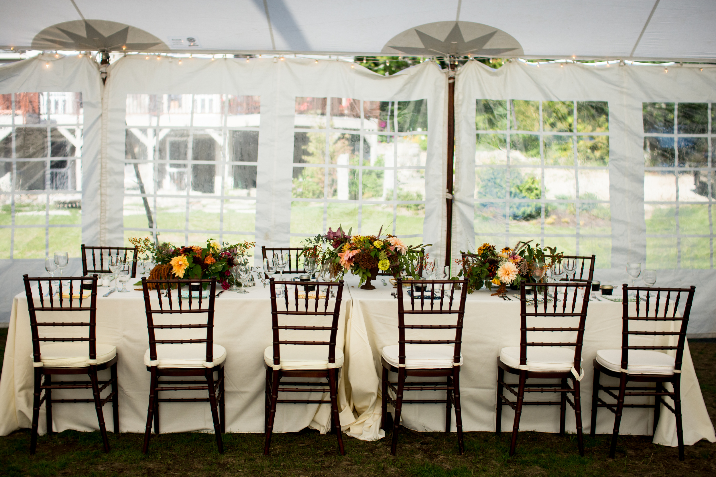 Erika + David-25.jpg
