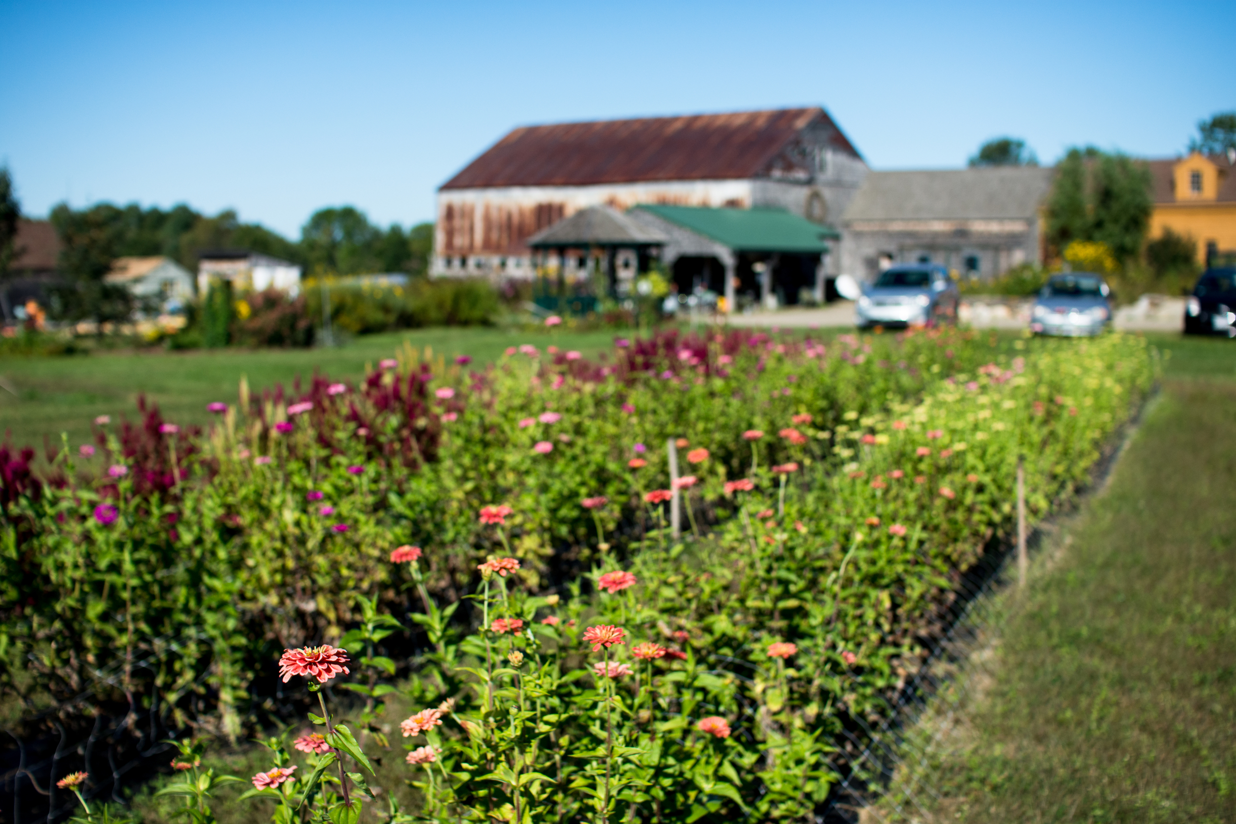 Field Floral Studio-32.jpg