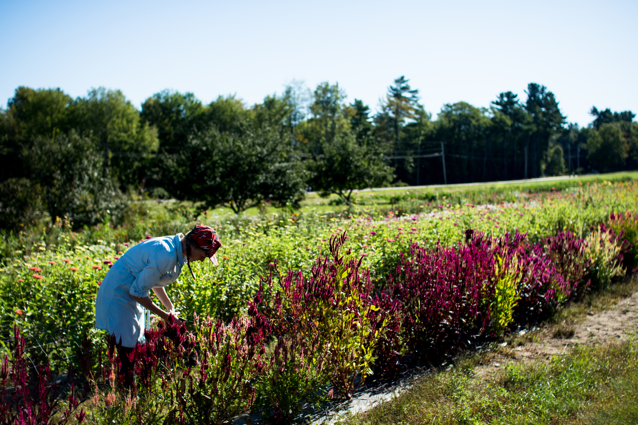 Field Floral Studio-23.jpg