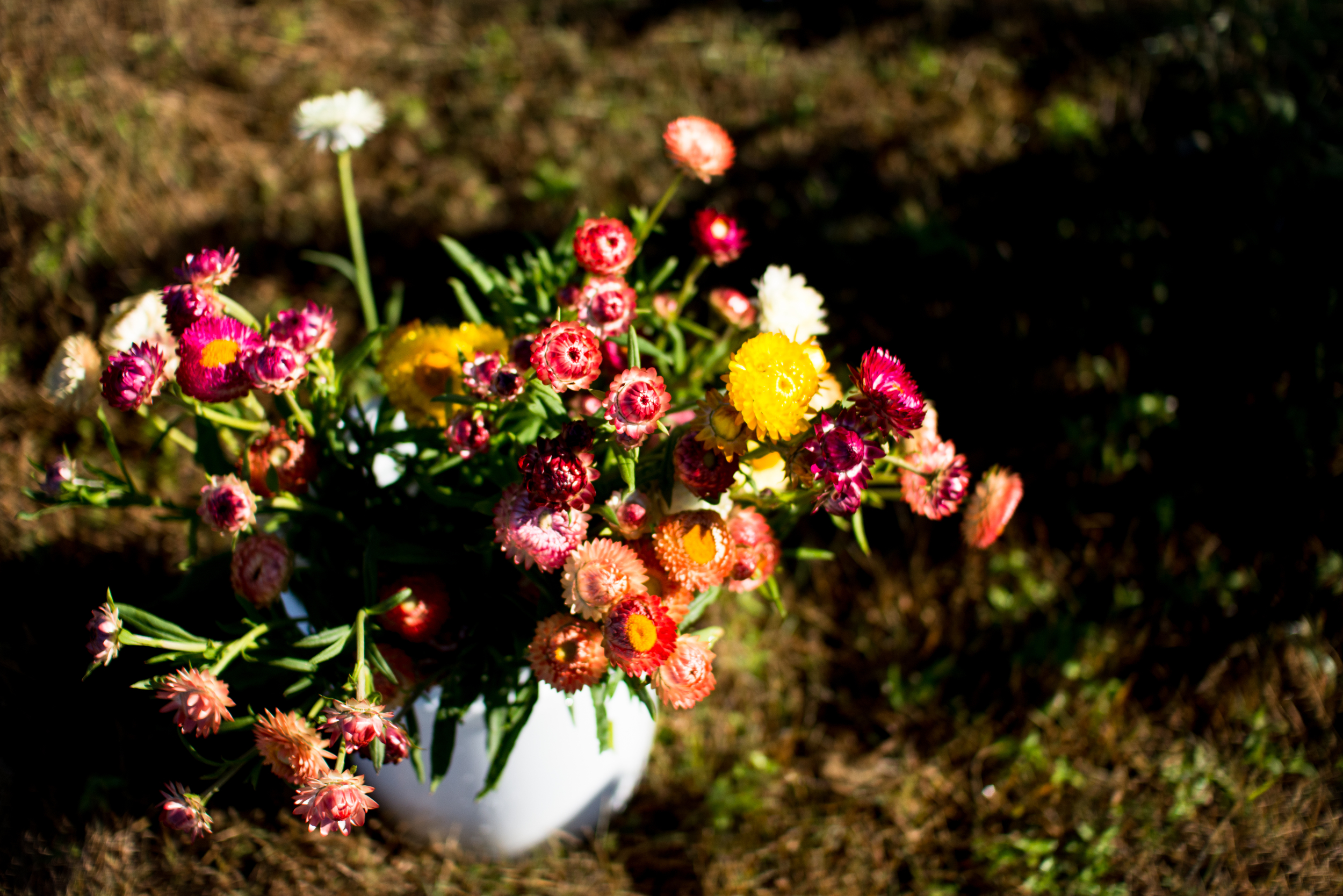 Field Floral Studio-22.jpg