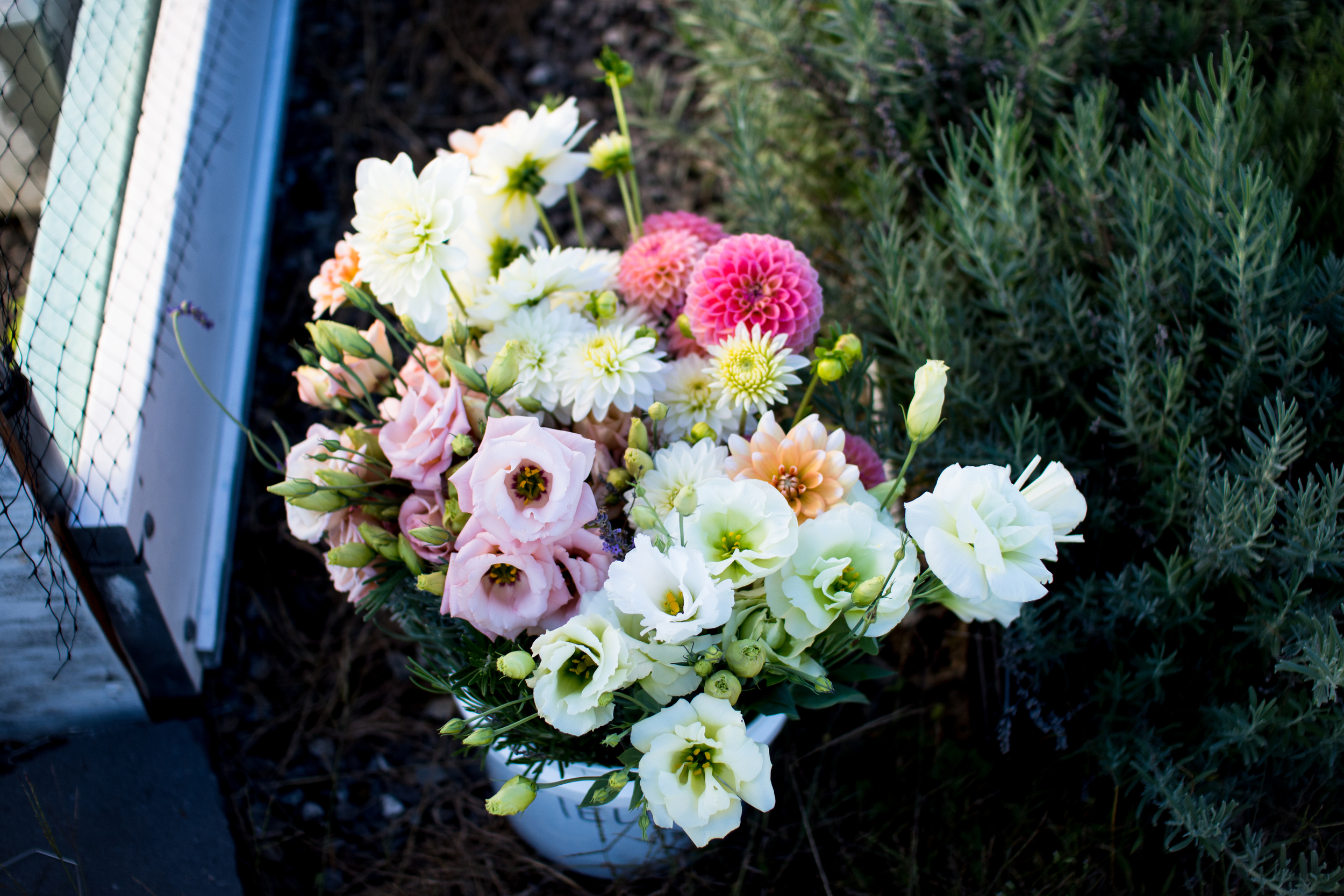 Field Floral Studio-8.jpg