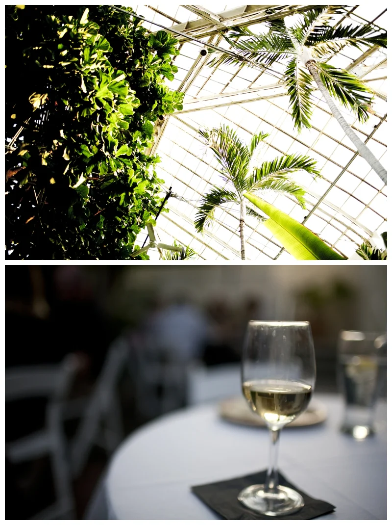 Who wouldn't want to have a glass of wine in this place?