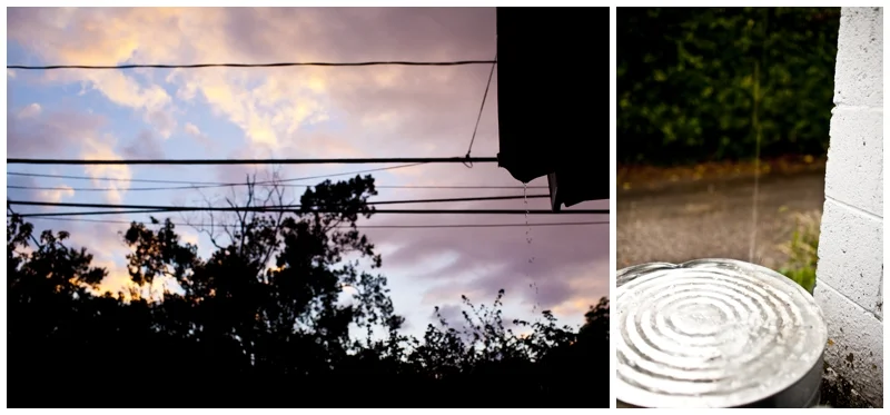 I forgot to mention it just stopped raining outside which is one of my FAVORITE times to be outside! I love the light, the smell, and the tinkling of rain drops still falling into puddles. Everything feels like it slowed down a little, at least for a minute. 