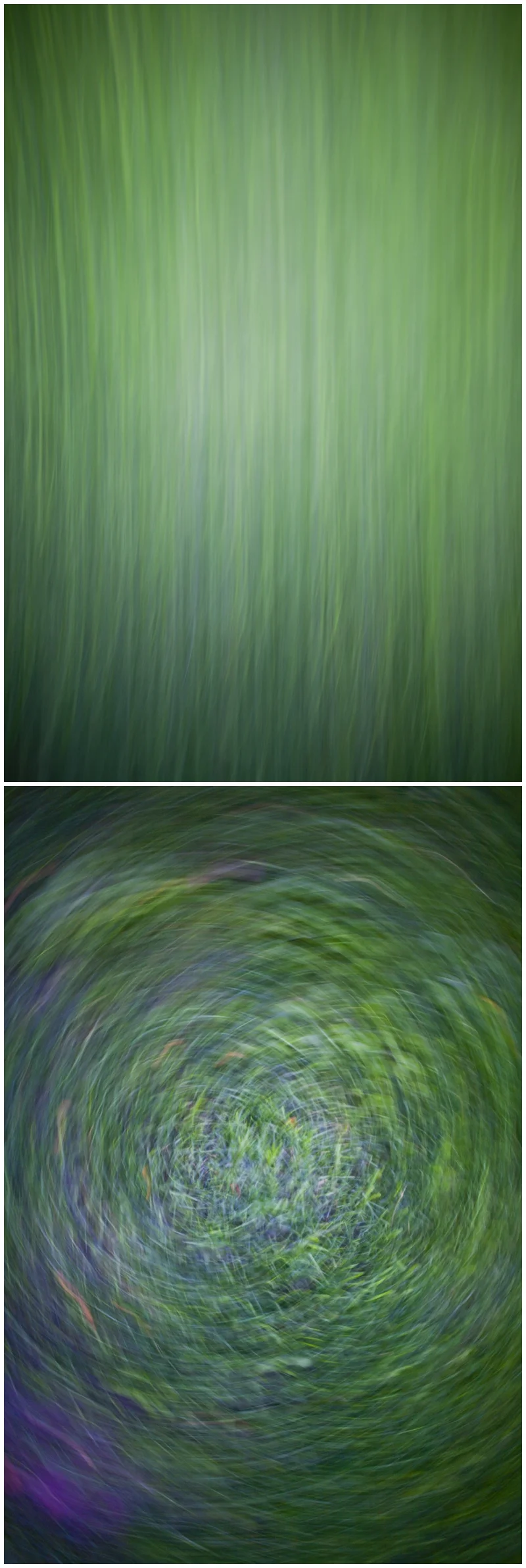 Transient
