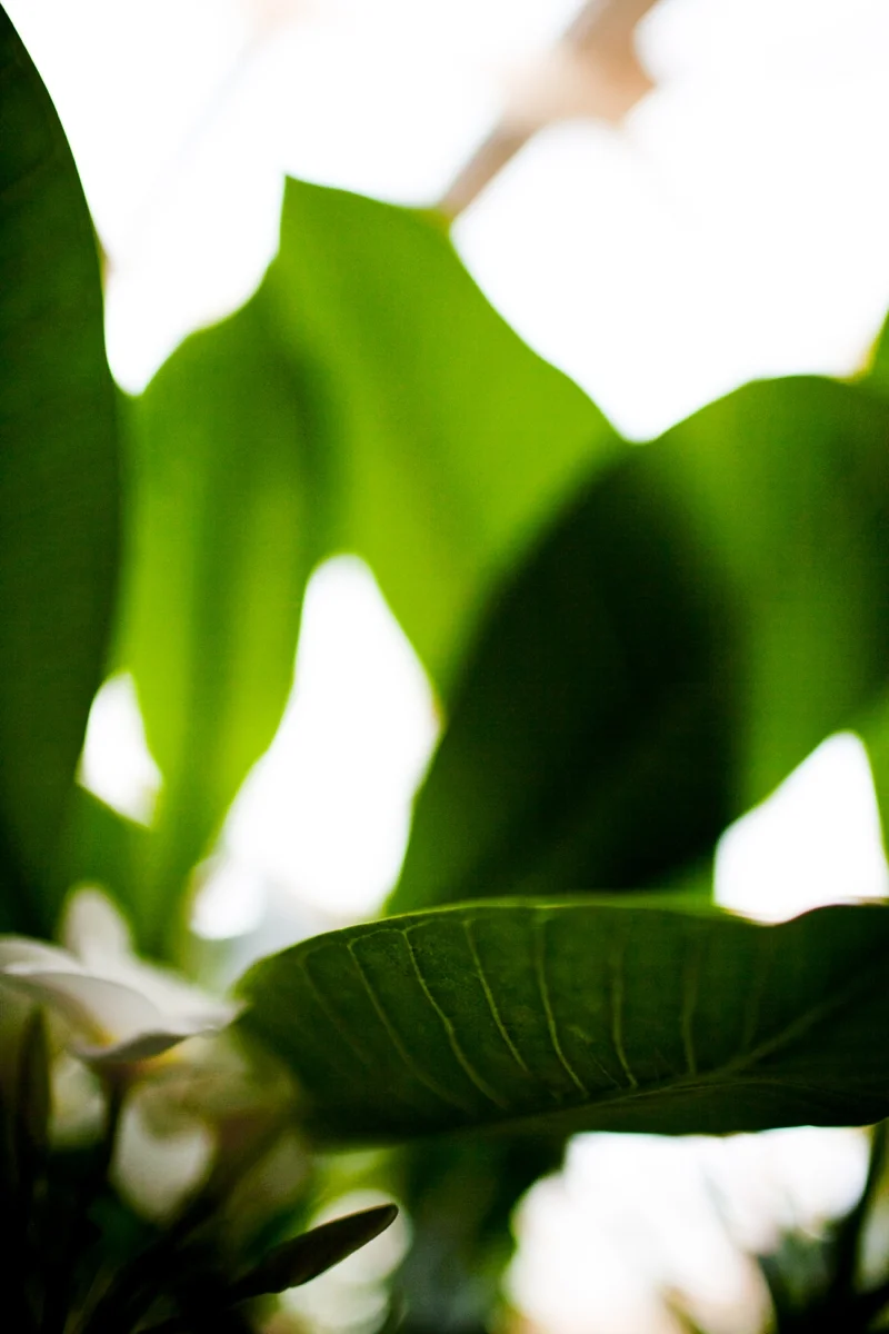 2012-12-22_0014.jpg