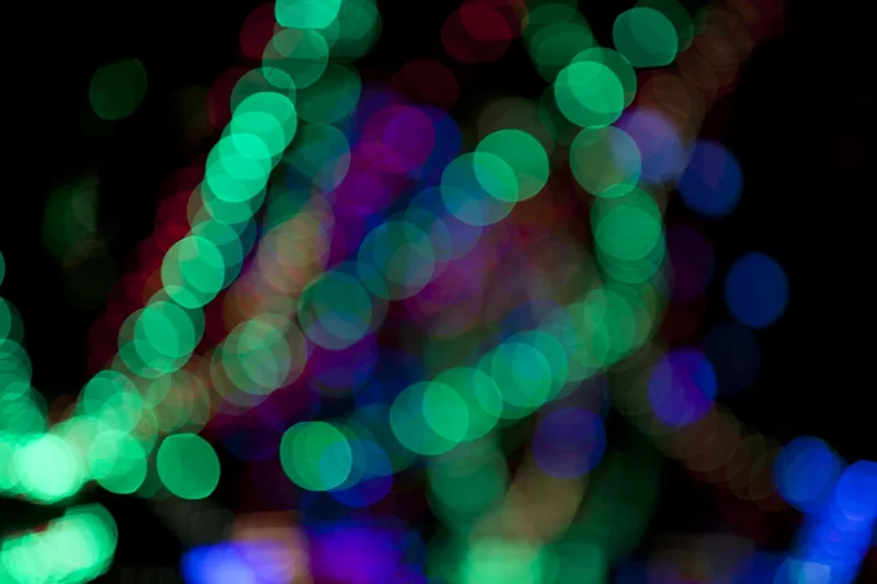 2012-12-30_0013.jpg