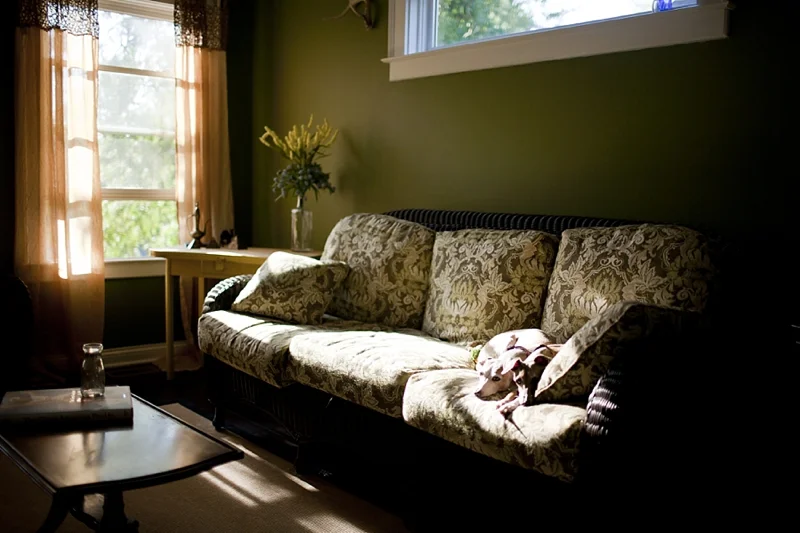 green room.jpg