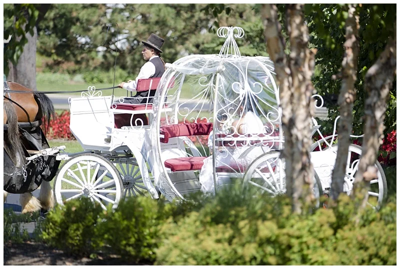 Arriving in style