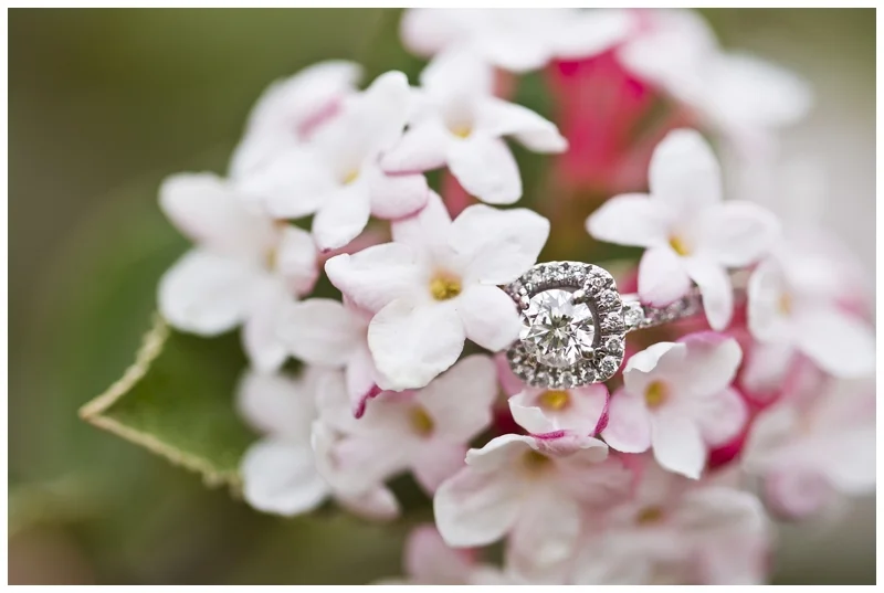 Love this ring