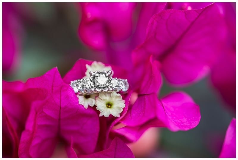 Franklin Park Conservatory Engagement Ohio_0016.jpg