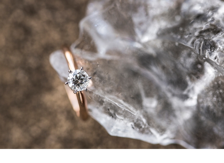 Scioto Audubon Park Engagement Angela Fortin Studio_0022.jpg
