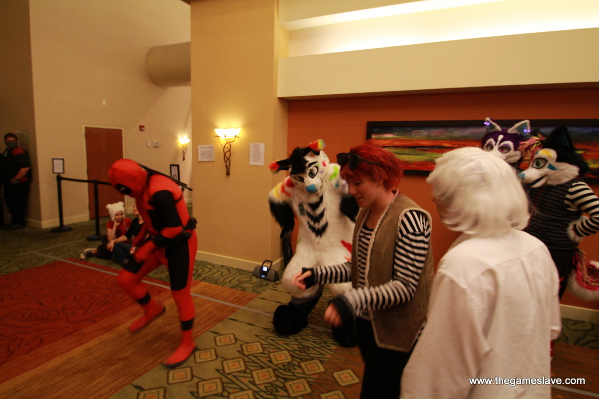 138-img_7900.jpg