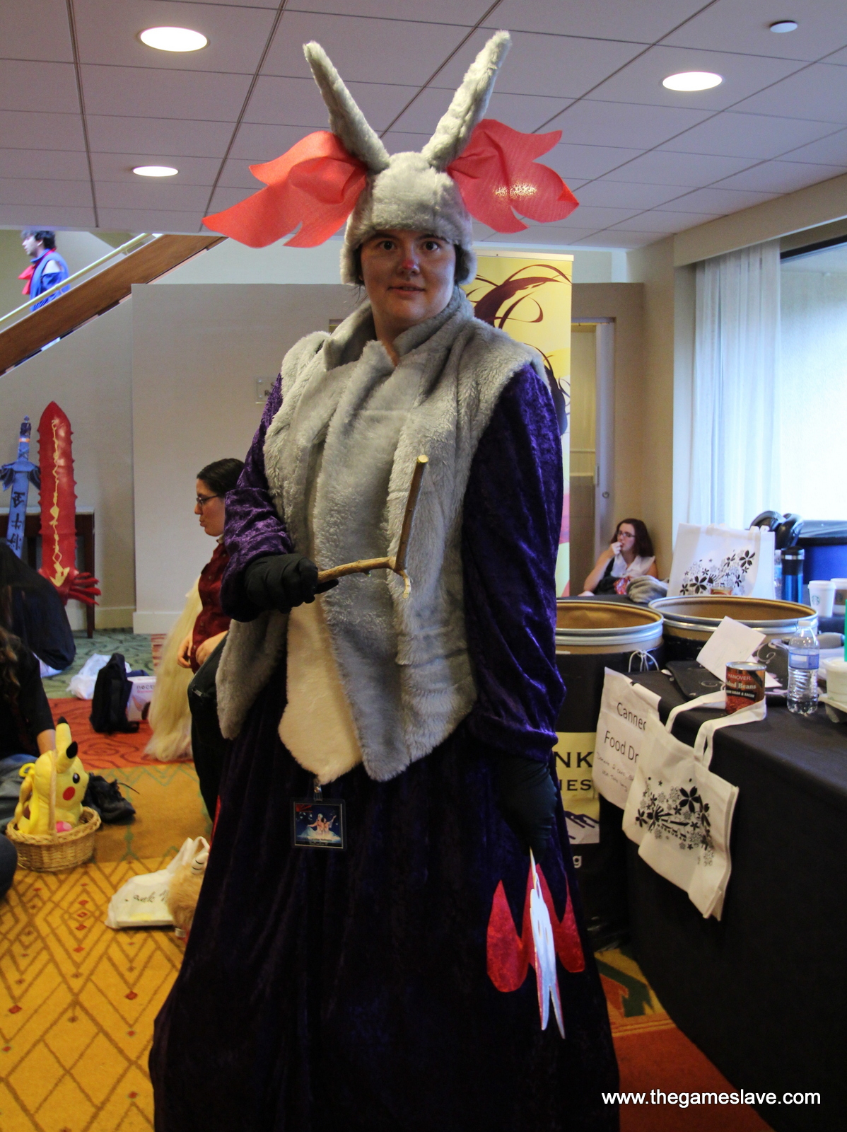 NDK 2014 (212).JPG