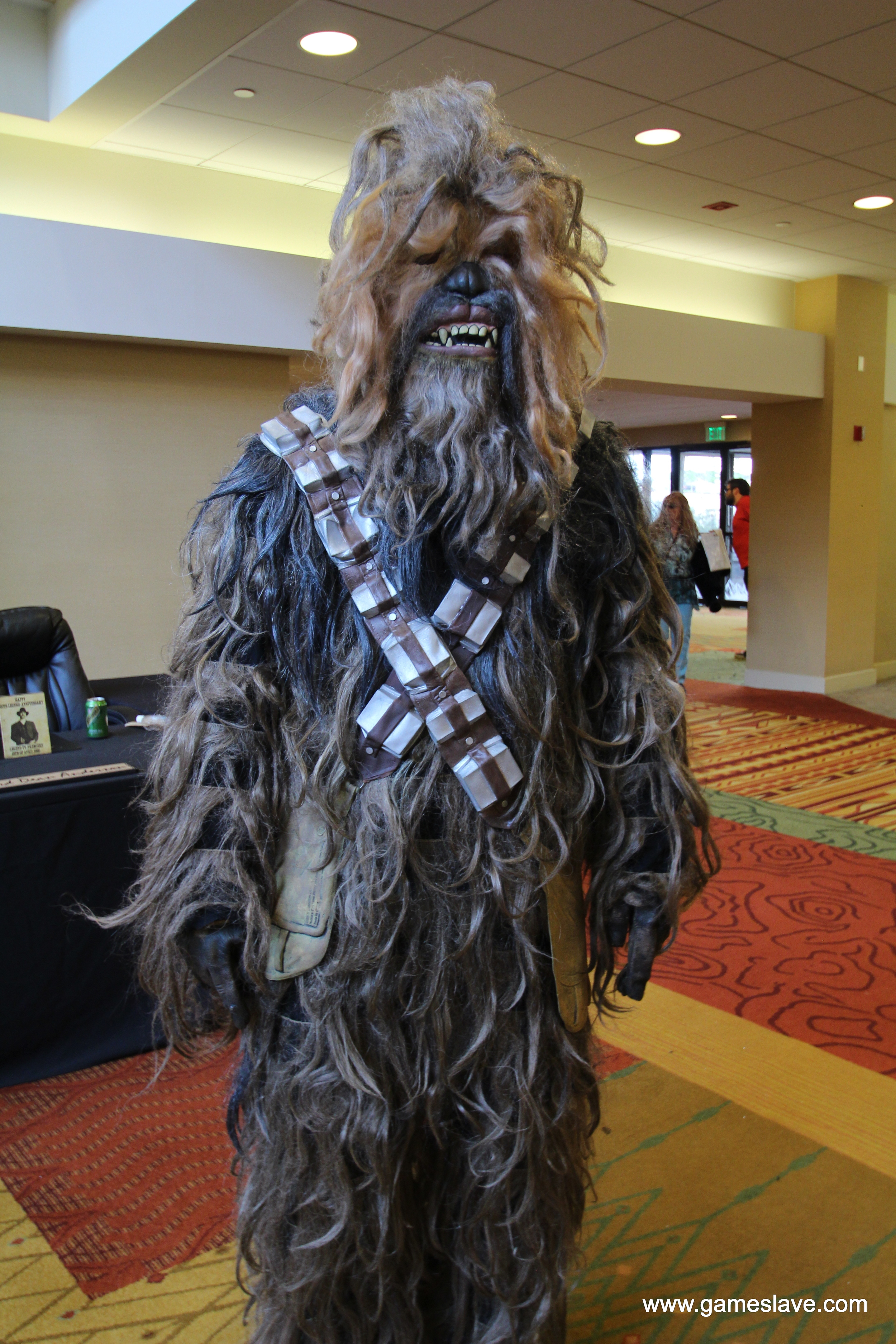 StarFest - 2015 (33).JPG