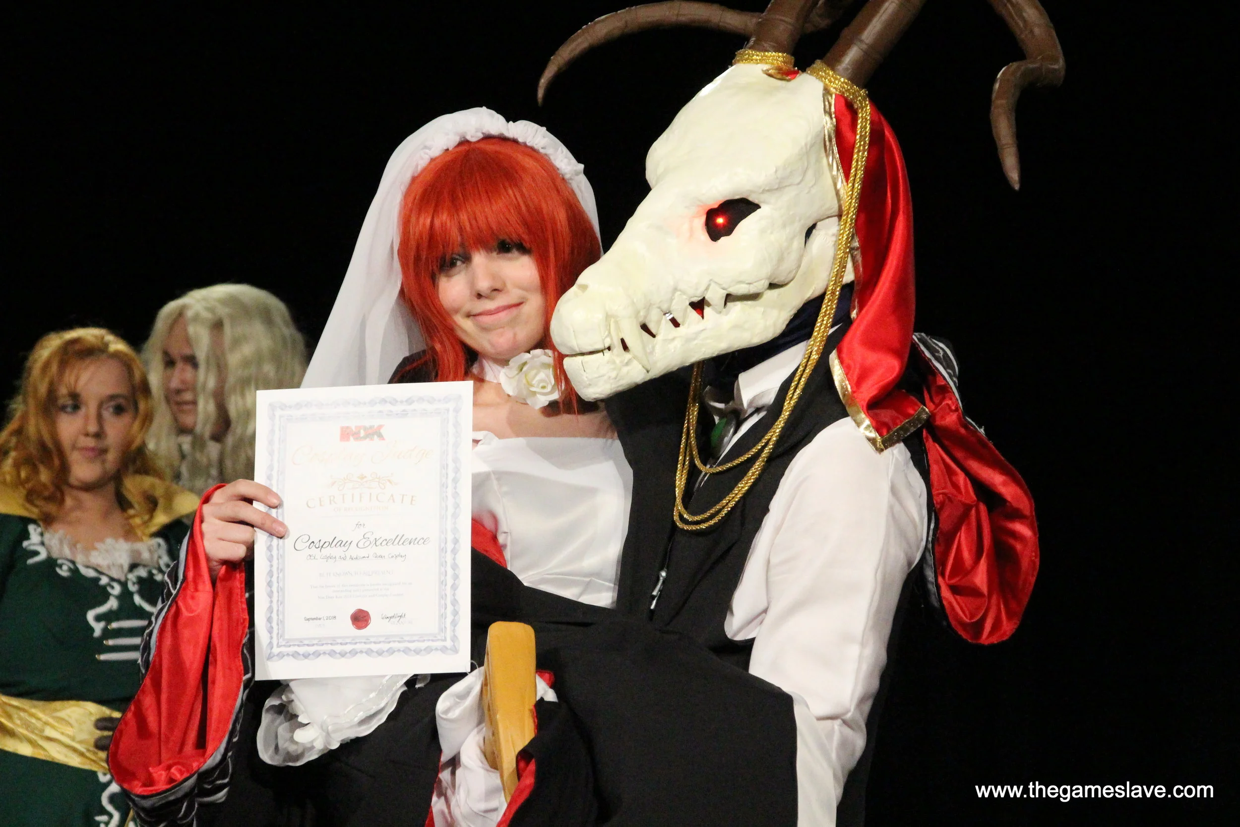 NDK Cosplay -  (614).JPG