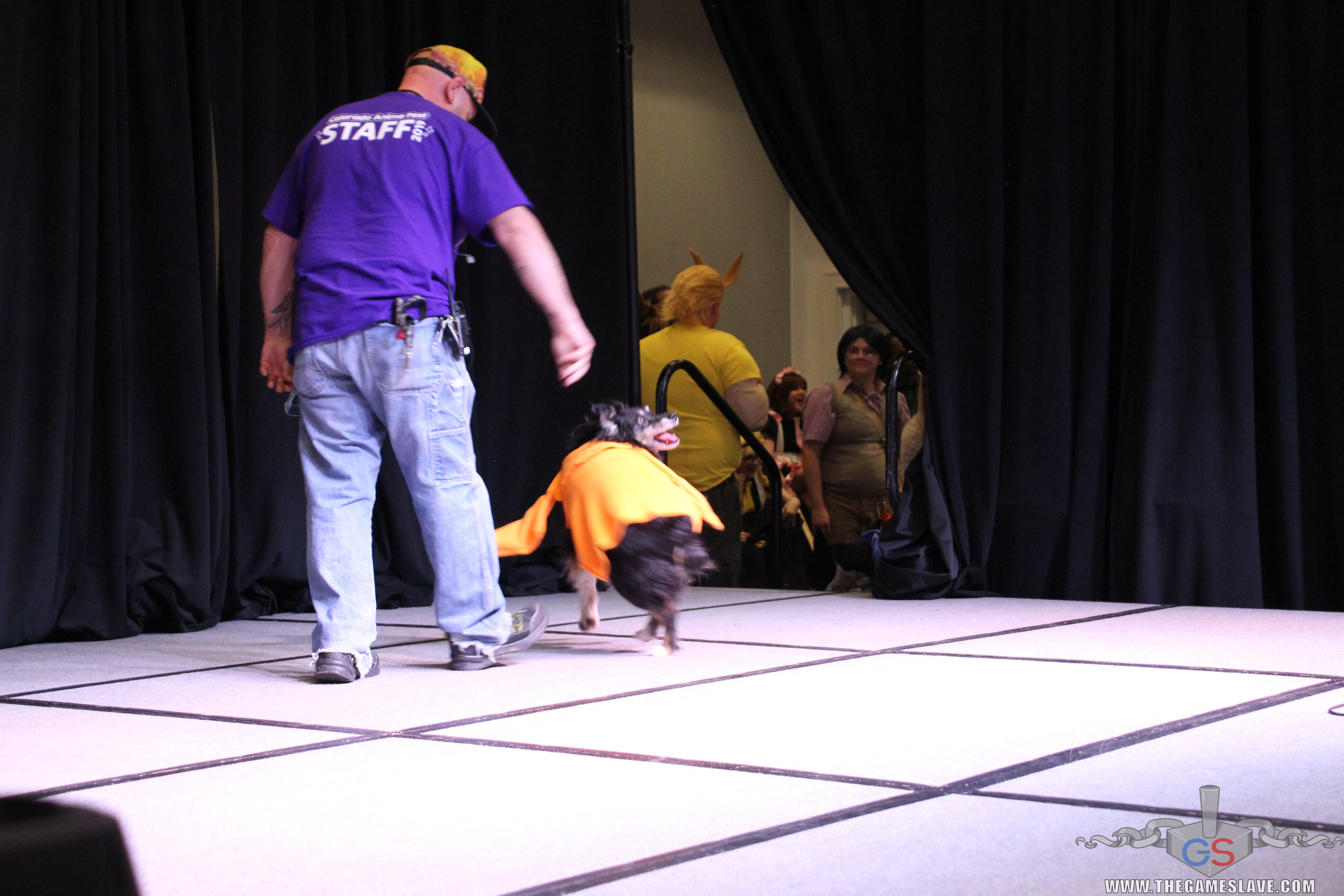 COAF 2019 Costume Contest-31.jpg