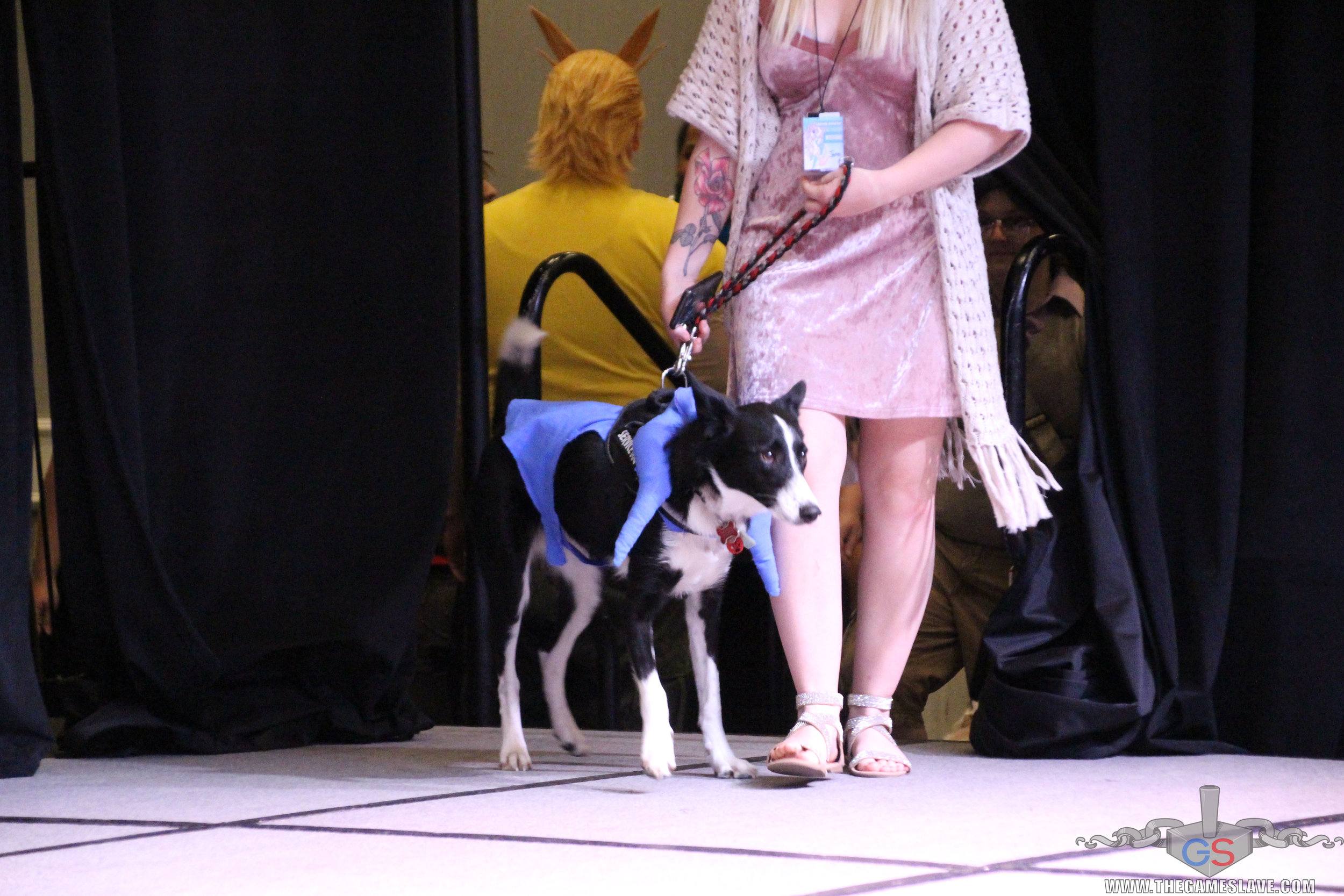 COAF 2019 Costume Contest-35.jpg