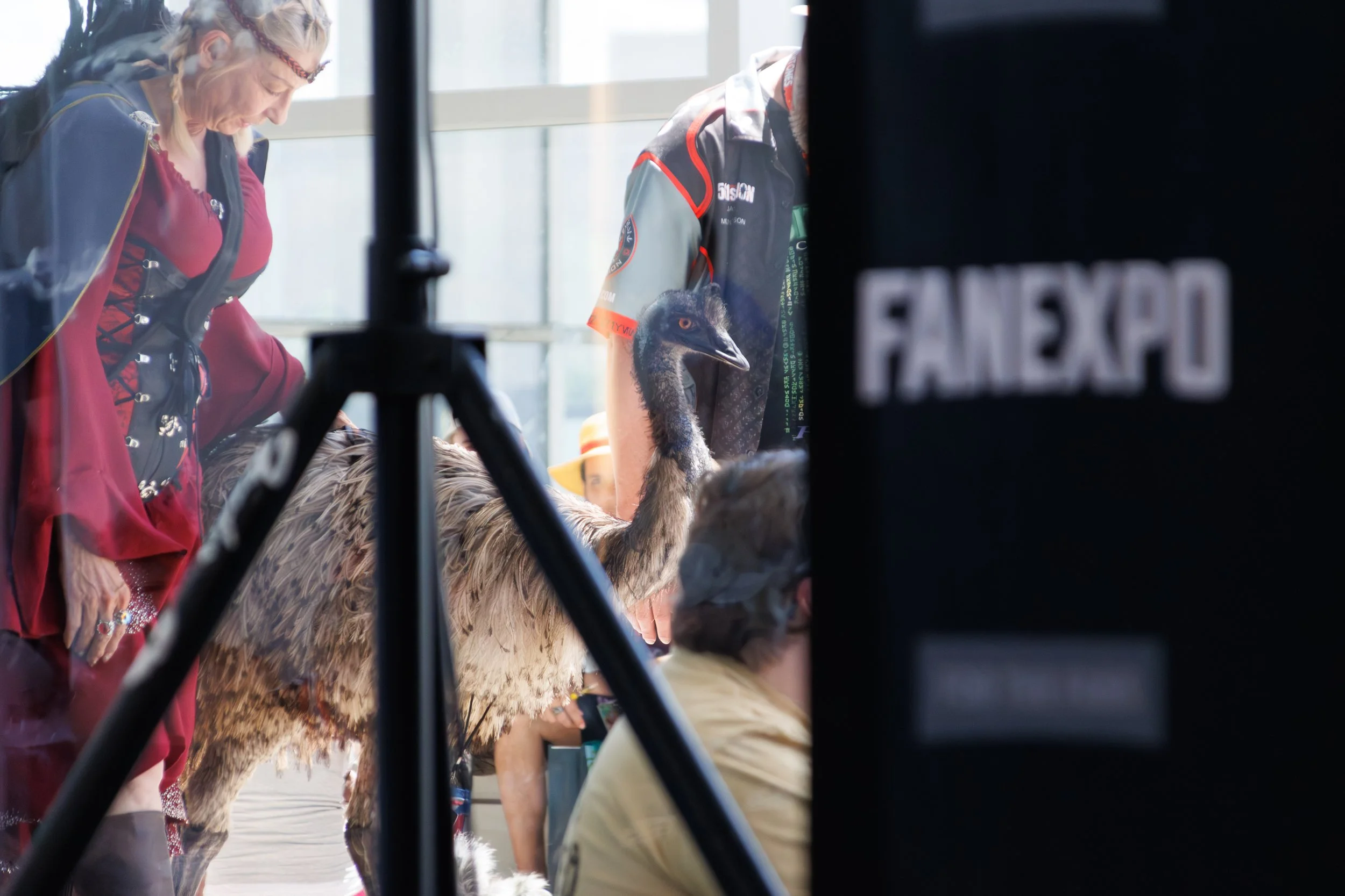 Fan Expo Denver 2026-151.jpg