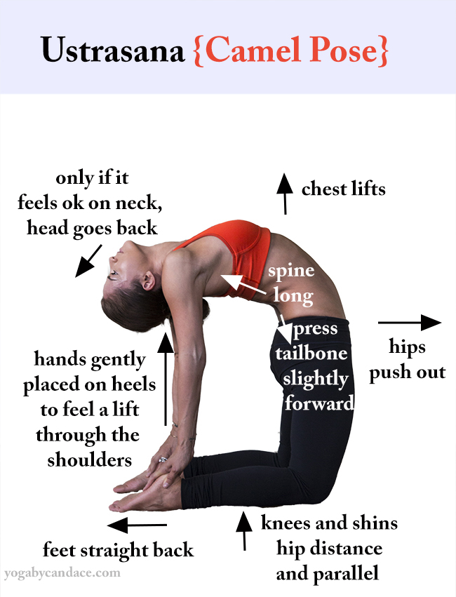 What is the best position for the head and neck when doing Camel Pose?