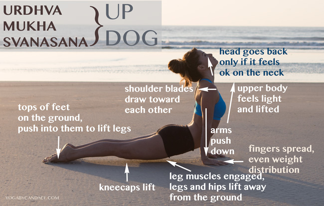 How To Do Standing Upward Salute Pose – Brett Larkin Yoga