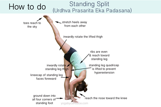 How to do a Standing Split — YOGABYCANDACE