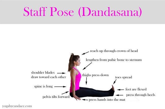 Four Limbed Staff Pose | Chaturanga Dandasana | Yoga VB49 - VIKUDO