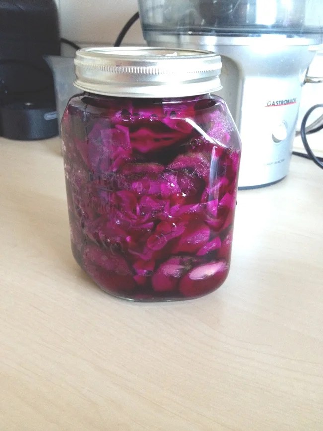 First batch of homemade fermented veggies
