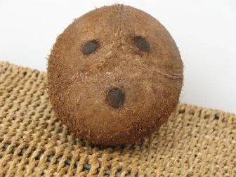 Pin it! How to open a coconut. Photo via .