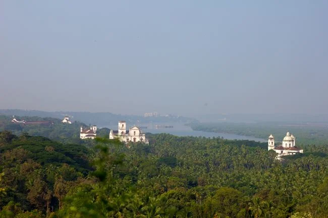Overlooking the jungle