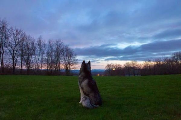 Connecticut sunset