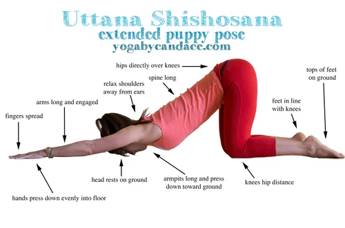 how-to-do-extended-puppy-pose-yogabycandace
