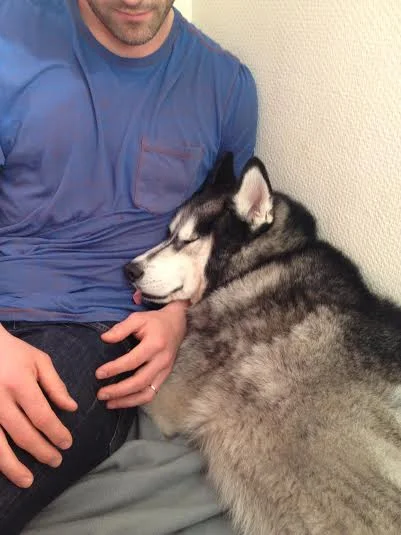 Wedged between our dog and the wall