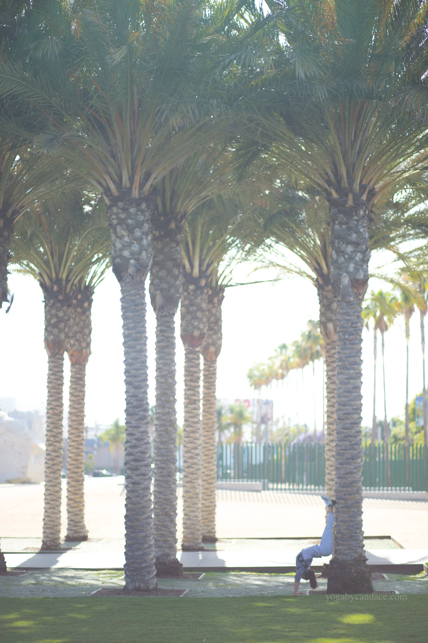 Yoga outside of LACMA in Los Angeles, California