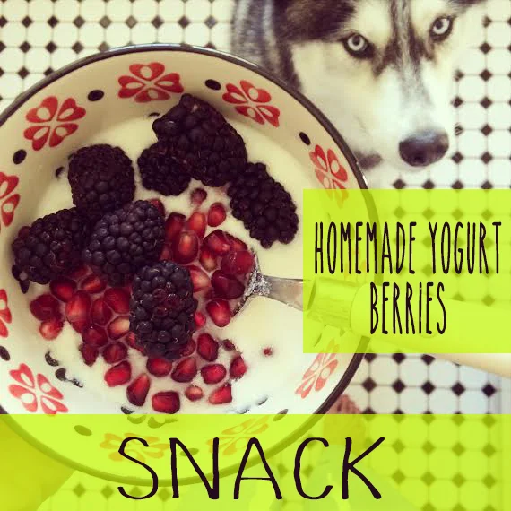 GAPS Snack