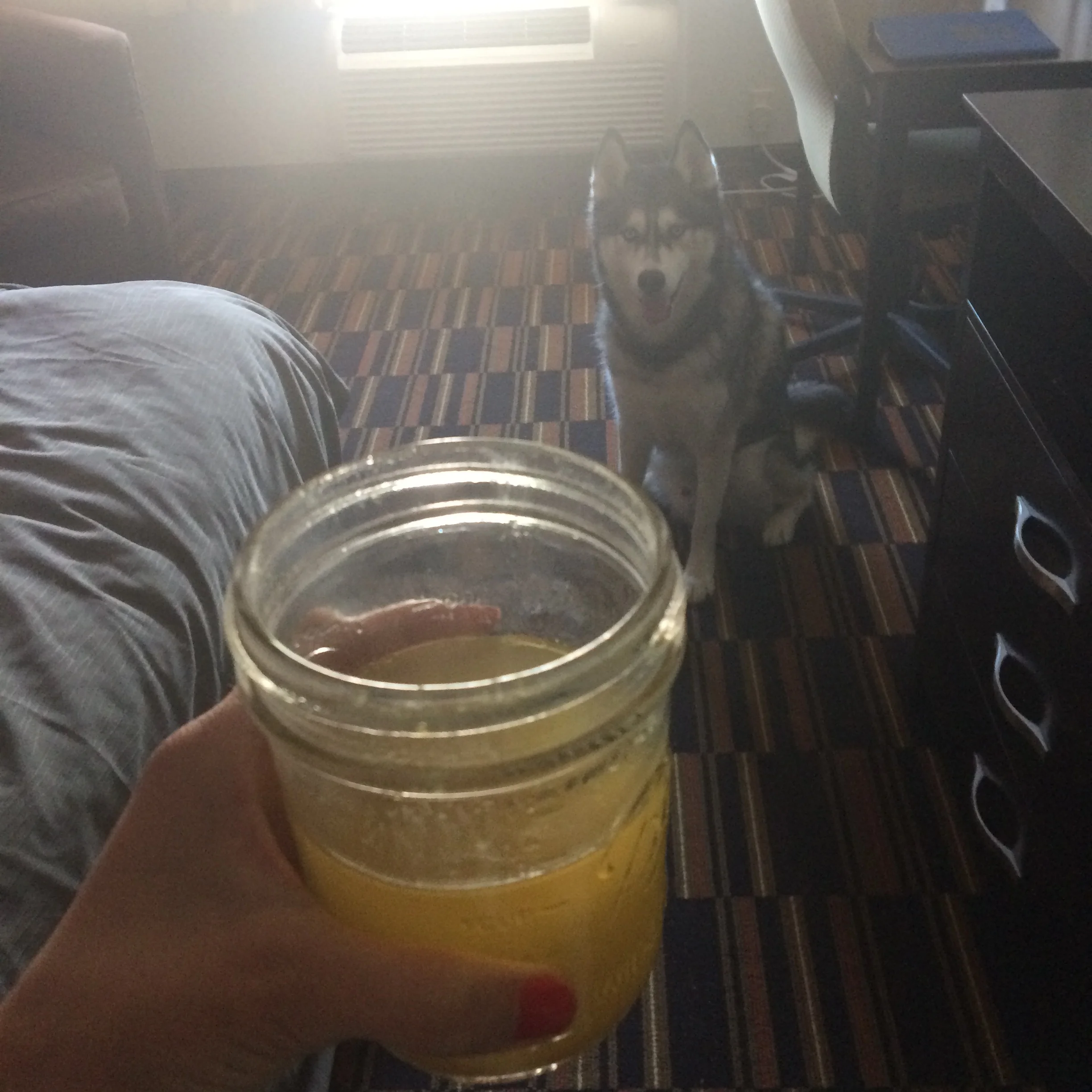 Morning bone broth