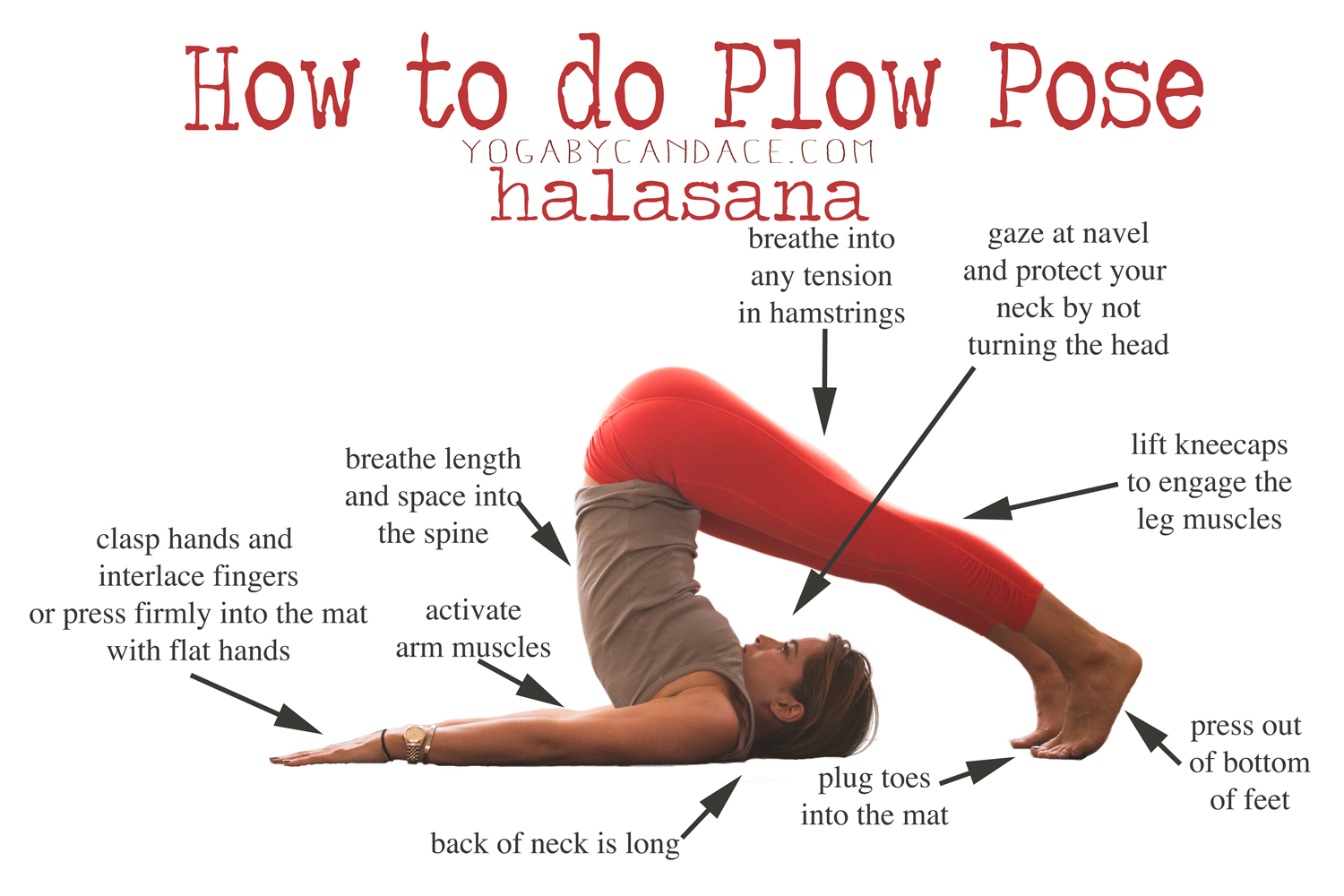 Plough Pose Benefits: Tremendous Benefits From Doing Halasana Yoga, A  Panacea For Bones, Skin, Hair And Stomach, Know 11 Amazing Benefits - Halasana  Benefits: हलासन योग करने से मिलेंगे जबरदस्त लाभ, हड्डियों,