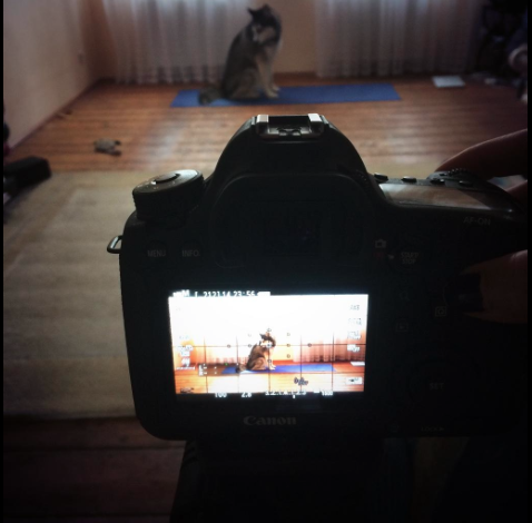 Enter to win your own custom yoga dvd