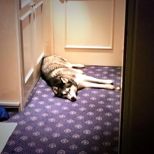 Just making sure we don't leave without him.