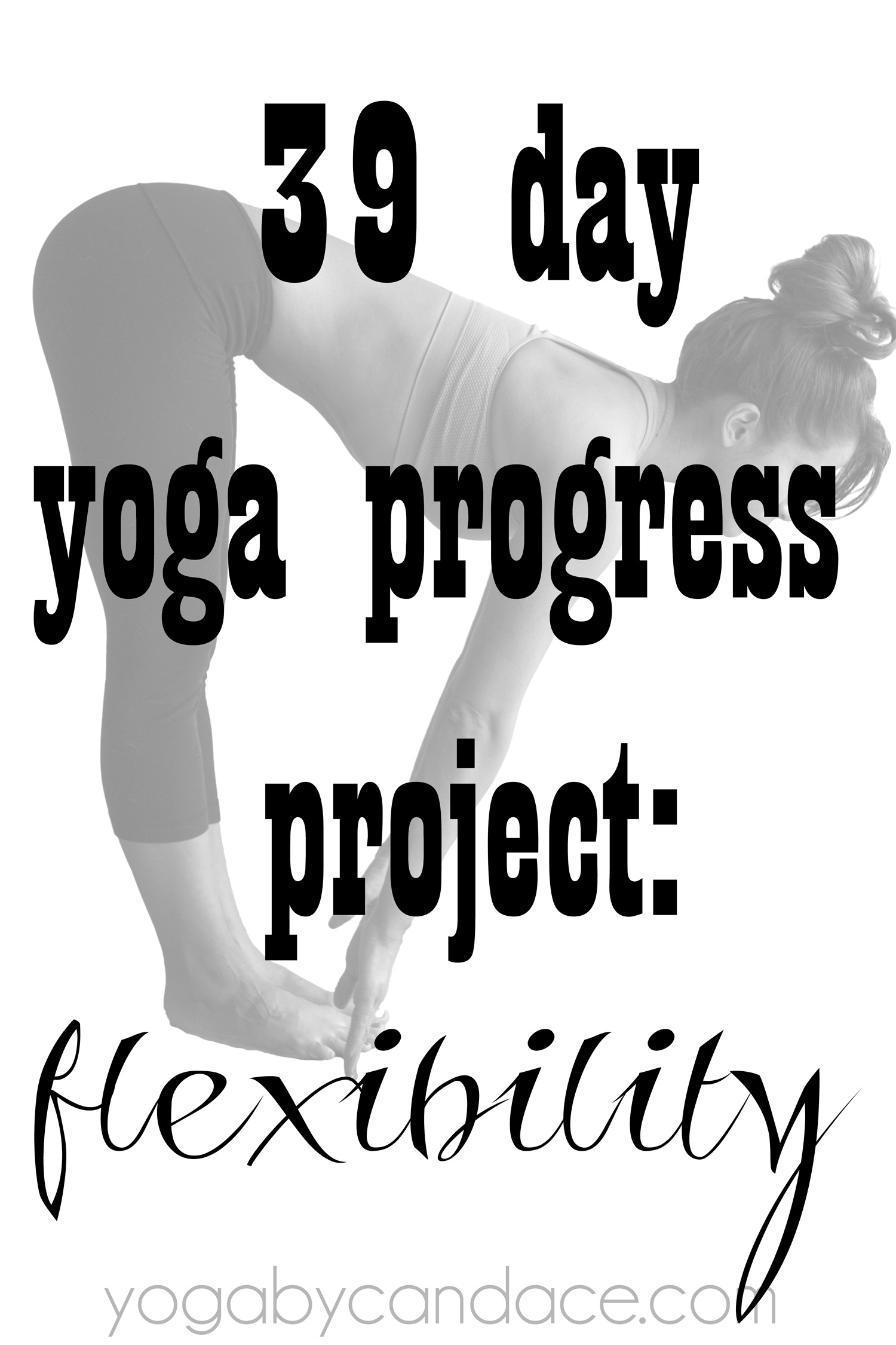 The Genius of Flexibility - The Genius of Flexibility
