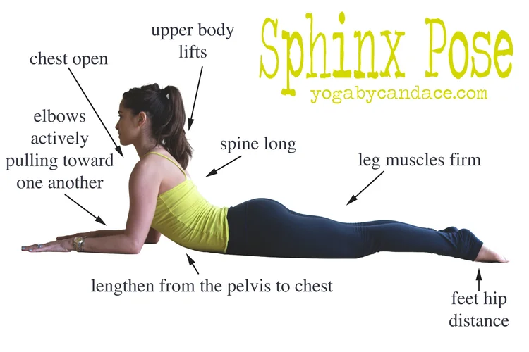 Pin now! How to do sphinx pose. Wearing: leggings . 