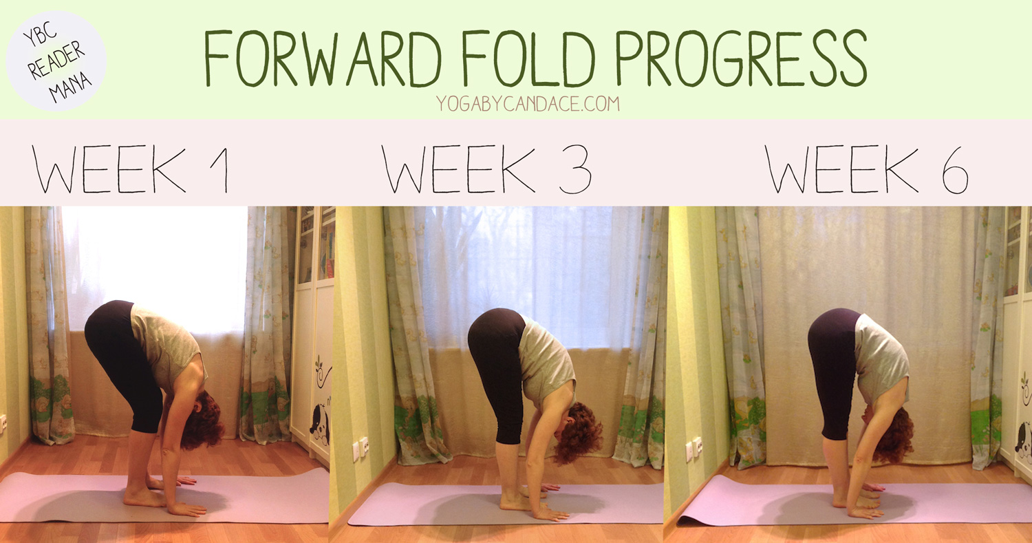 6 week forward fold progress picture