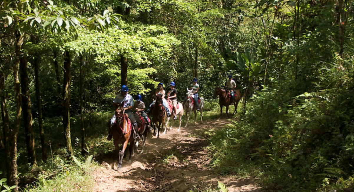 Horseback riding up to Volcano Arenal